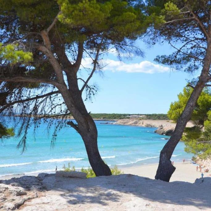 T2 Proche Cote Bleue Marseille Aeroport Gare Tgv Aix